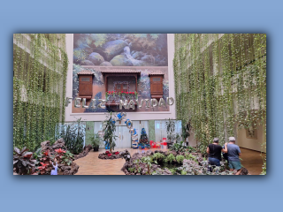 La Palma 2025 (1).jpg